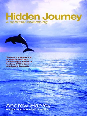 cover image of Hidden Journey